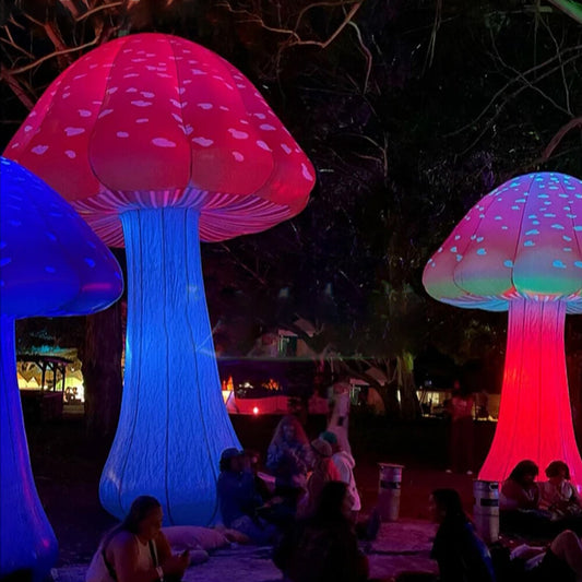Champignon Gonflable Lumineux Géant